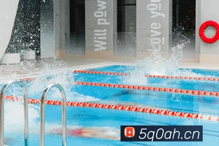 九游网页版登录界面平台生态图